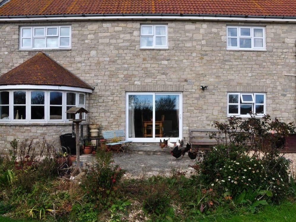 Jurassic Loft Apartment Weymouth Exterior foto